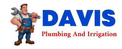 Trusted plumber in CEDAR SPRINGS